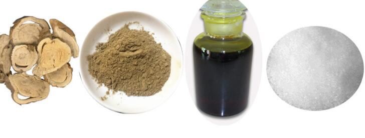 20210817104831153d7c6d9af94425ae17d1e9c0cf1cf4 20210817104831153d7c6d9af94425ae17d1e9c0cf1cf4