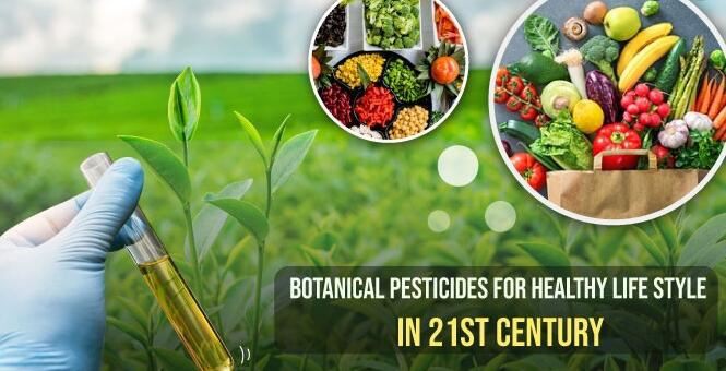 20210901161707707c130bb2914566b85f023000fd8fe8 20210901161707707c130bb2914566b85f023000fd8fe8