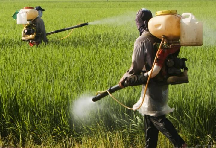 202109151653535c2fecd77f184f5fa9fa1feac1e9d377 202109151653535c2fecd77f184f5fa9fa1feac1e9d377