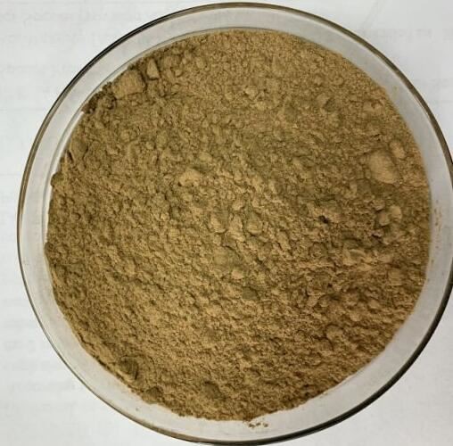 20210927163233779f5f8019dd4c56a8074db19d203ca3 20210927163233779f5f8019dd4c56a8074db19d203ca3