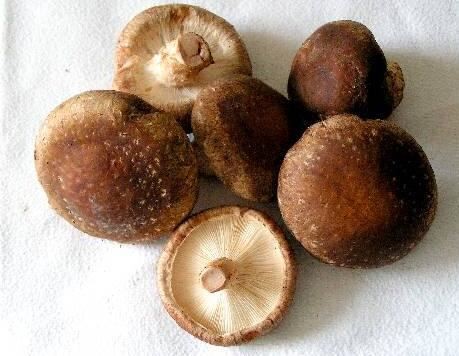 2021101816243336b2782ce56e40acbef5aec11c511057