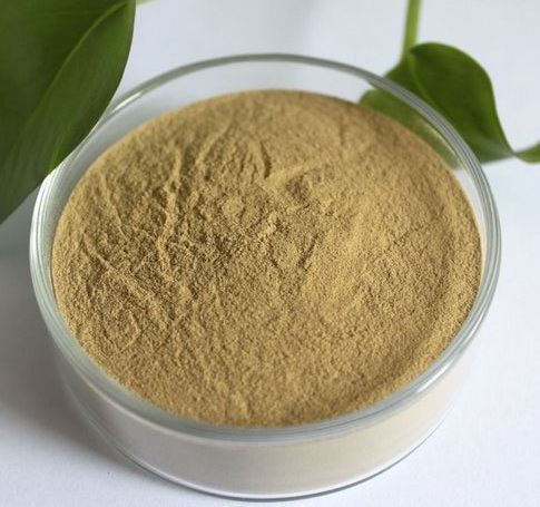 20211223094410120f5ac736934c0190c926ecefcde993 20211223094410120f5ac736934c0190c926ecefcde993