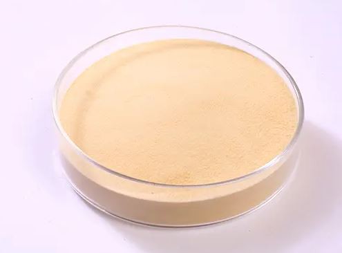 2021123111022933fc359dd6ee441ab705533aa0f1814c 2021123111022933fc359dd6ee441ab705533aa0f1814c