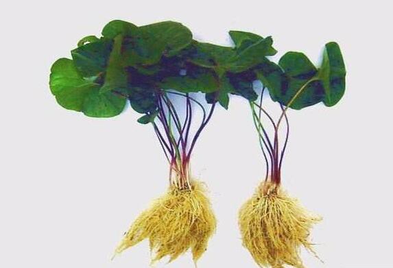 20201110150420a1b38c3c462b41dd975532fb6fc5833f 20201110150420a1b38c3c462b41dd975532fb6fc5833f