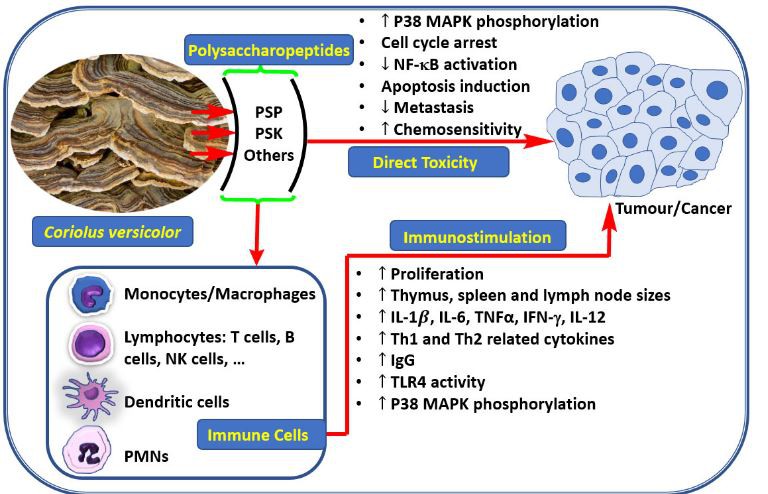 20210119134259dd015194bcb1400cb2cf34cb8f08a1e1-5 20210119134259dd015194bcb1400cb2cf34cb8f08a1e1-5