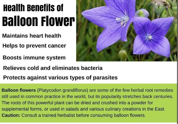 20210220102335f1cb1ffd07eb408d973e7867cbbc1331 20210220102335f1cb1ffd07eb408d973e7867cbbc1331