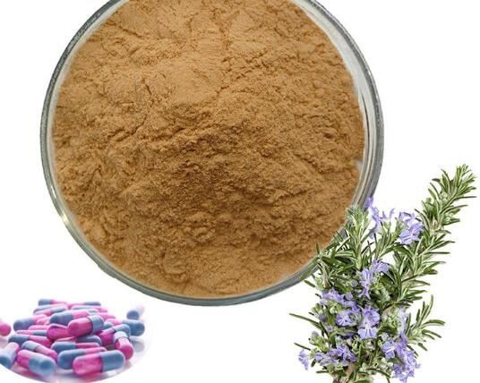 20210426101226f9b2b2a180a84072a2a0ed3b478ead7c 20210426101226f9b2b2a180a84072a2a0ed3b478ead7c