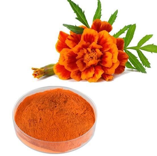 202105250959079b0fe41565f24d6ba5e707fbd408f467 202105250959079b0fe41565f24d6ba5e707fbd408f467