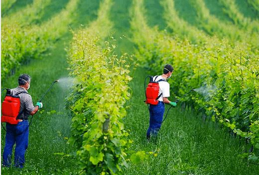 202107261650044f28372e70c944e19d472527e88819c4-7 202107261650044f28372e70c944e19d472527e88819c4-7