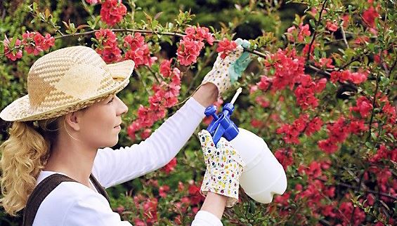 20210727151754696670be36c140aea18fa809b4c85a5d-16 20210727151754696670be36c140aea18fa809b4c85a5d-16