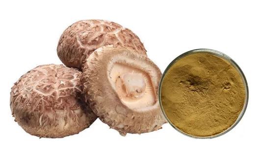 20210730163104d3cfce3359f64392a43cc9abc99da637 20210730163104d3cfce3359f64392a43cc9abc99da637