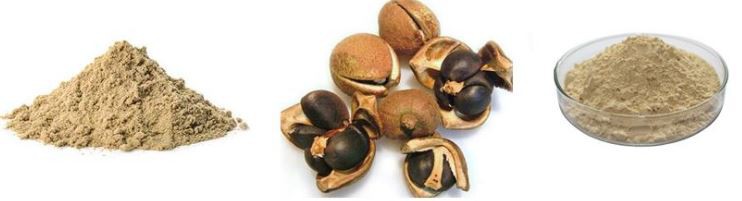 2021073016381963318b5c8be44cd6929c03e8752d5b7e 2021073016381963318b5c8be44cd6929c03e8752d5b7e