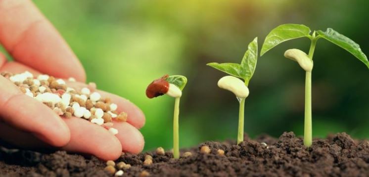 2021080216351646d774db3229468196e78ae75d75ded9 2021080216351646d774db3229468196e78ae75d75ded9