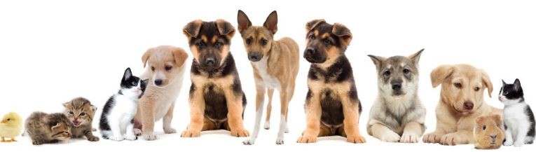 202108031415371d4086003bf646b9979bbe3a9e15c806-2 202108031415371d4086003bf646b9979bbe3a9e15c806-2