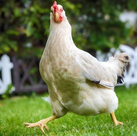 202108051701196bbc5e614fca46e0b3baf3ec3a9581ef 202108051701196bbc5e614fca46e0b3baf3ec3a9581ef