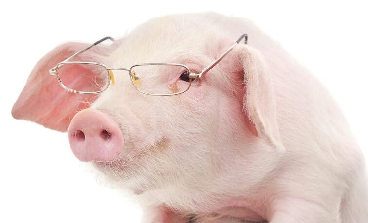 2021080911514042be063410b541dc9c61008847df5ae8-7