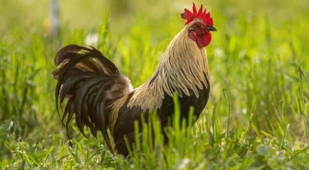 202108111351283992aa9e661e470caa4672b0c0399ab2-2 202108111351283992aa9e661e470caa4672b0c0399ab2-2