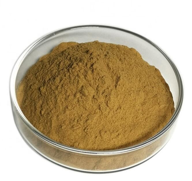 20210811140027e57f02323774415ea1ca75ac2ac96e11