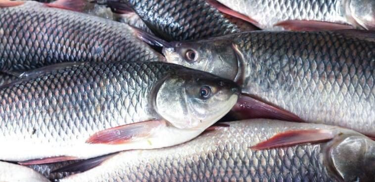 20210812114528bac9b9502a834a2a900bbfdee82de4ce-6 20210812114528bac9b9502a834a2a900bbfdee82de4ce-6