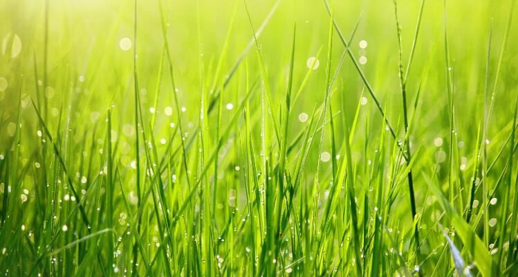 2021081215314888f95b065fe64b39b6f84ef1203fd041-4 2021081215314888f95b065fe64b39b6f84ef1203fd041-4