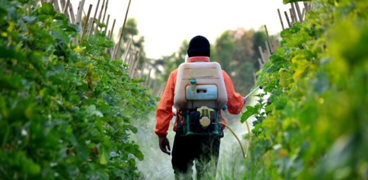 202109031540293d5eb603a4044f1f9b52f9333e4ec8bb-1 202109031540293d5eb603a4044f1f9b52f9333e4ec8bb-1