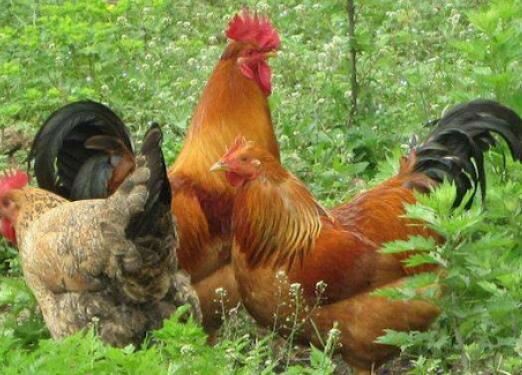 20210915154341c6c78716657a400d8eaa370c54a7a5cd-7 20210915154341c6c78716657a400d8eaa370c54a7a5cd-7