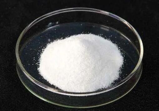 20211012165000e93b1a5635bf470d944aefa46886b35c 20211012165000e93b1a5635bf470d944aefa46886b35c