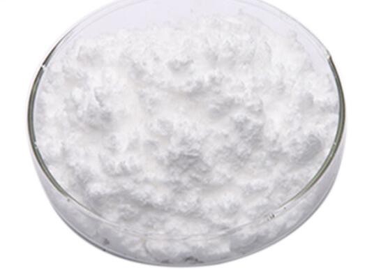 20211025155559a9b1d57fd26d495ca3f6d80e15971c99 20211025155559a9b1d57fd26d495ca3f6d80e15971c99