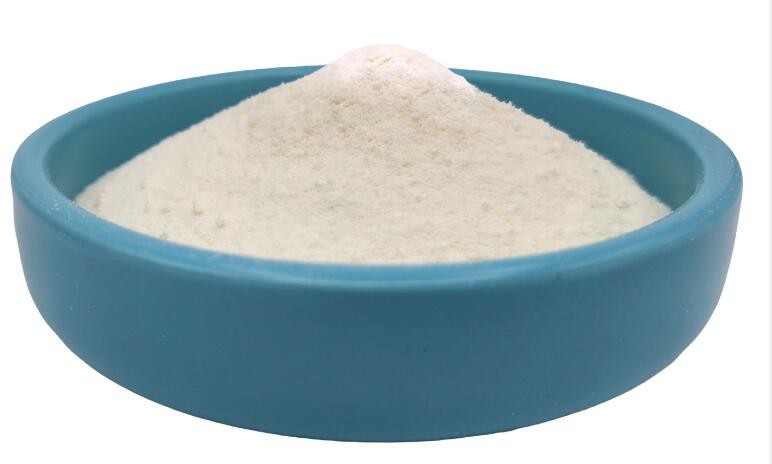 20211028155401d10bc967e2b145b9b6356ecaff16eeff 20211028155401d10bc967e2b145b9b6356ecaff16eeff