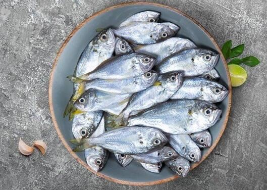 20211101145650aca4859c155c4ee999d96b67eb7b5fe1 20211101145650aca4859c155c4ee999d96b67eb7b5fe1