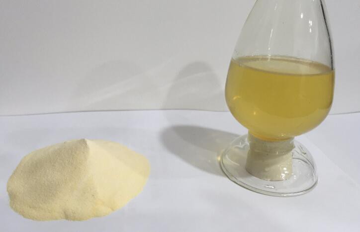 20211112141031fd93bea7a37f47709567888ebfb59c82 20211112141031fd93bea7a37f47709567888ebfb59c82