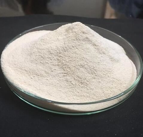 202111121411232ba2ee938aa44cb5ba6b7628fffb8e5d 202111121411232ba2ee938aa44cb5ba6b7628fffb8e5d