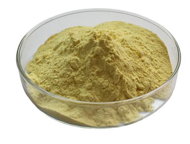 2021112516022772259c01f5d841b2a68c685f82a08e49