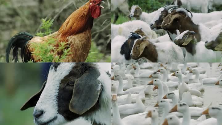 20211125162818bc659163760e4bedb0b1ffb8730b100c-6 20211125162818bc659163760e4bedb0b1ffb8730b100c-6