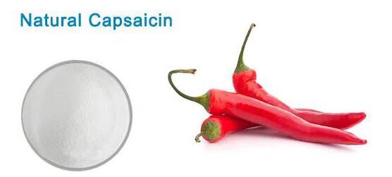 20211126144735a0ef5f62fd0e4a4884f23b84b7d34cee 20211126144735a0ef5f62fd0e4a4884f23b84b7d34cee