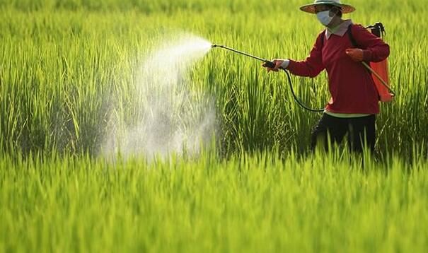 202111261502561bcc3daef63a42f5adc8818fed9ad361 202111261502561bcc3daef63a42f5adc8818fed9ad361