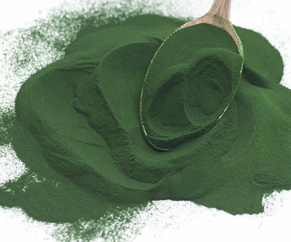 20211202162853030e5e942fb94864bdaac02e38c1d920-1 20211202162853030e5e942fb94864bdaac02e38c1d920-1