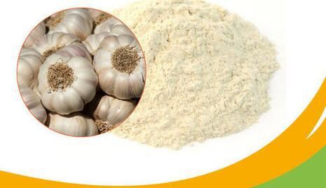 202112151614209e6dc0730b49457ea54452e1662fc3ed 202112151614209e6dc0730b49457ea54452e1662fc3ed