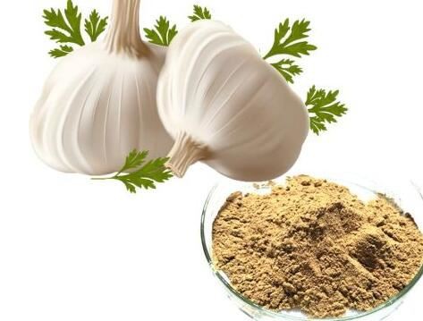 202112151648141dd6647cb7554817ae7eba9c2245c4ad 202112151648141dd6647cb7554817ae7eba9c2245c4ad