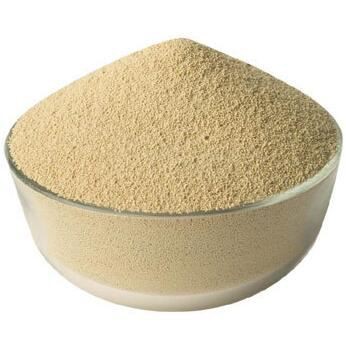 202112211624192a7b029d09da4a8b9f97ff143c135a85-1 202112211624192a7b029d09da4a8b9f97ff143c135a85-1