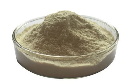 202112220919142a85568443e5428c9f20ca764904de8c 202112220919142a85568443e5428c9f20ca764904de8c