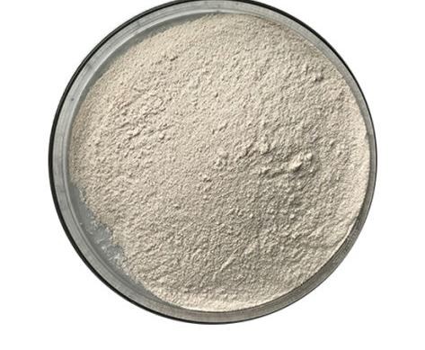 20211223091050a69487088360495396cf08beb8884c0d-1 20211223091050a69487088360495396cf08beb8884c0d-1