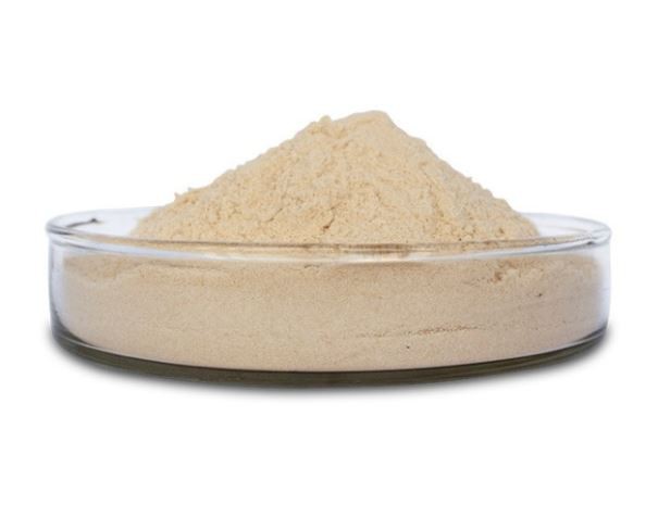 202112291034208fe9198bb61d4cb786b105de0216abfe 202112291034208fe9198bb61d4cb786b105de0216abfe