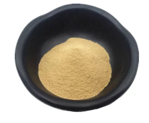 2021122910464019422444046048edbeb009ccd1601095 2021122910464019422444046048edbeb009ccd1601095