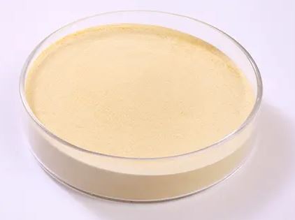 20220104104113f131374450af46269ff717f0fd0bbc8f-1 20220104104113f131374450af46269ff717f0fd0bbc8f-1