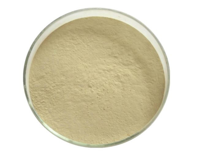 20220104105928ed51598340e546ce9fc821b1f5cbcf9d 20220104105928ed51598340e546ce9fc821b1f5cbcf9d