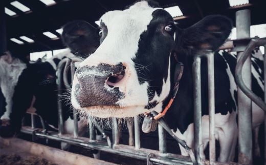 202201051031193747e15fcee548ed93a0be246baf44da-1 202201051031193747e15fcee548ed93a0be246baf44da-1