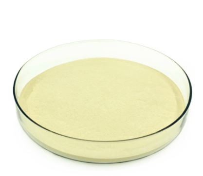 202201100943053da49ec606fb436aa9d37130b7294453 202201100943053da49ec606fb436aa9d37130b7294453