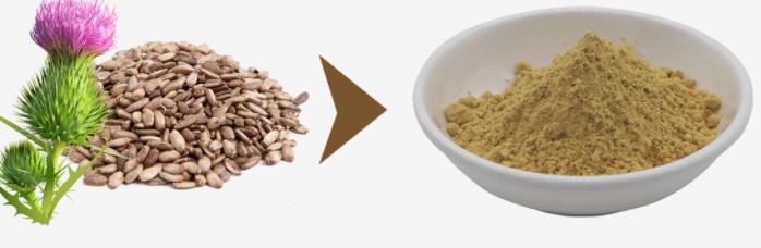 202201191158289d651d0188cf49e6a9db778507750744 202201191158289d651d0188cf49e6a9db778507750744