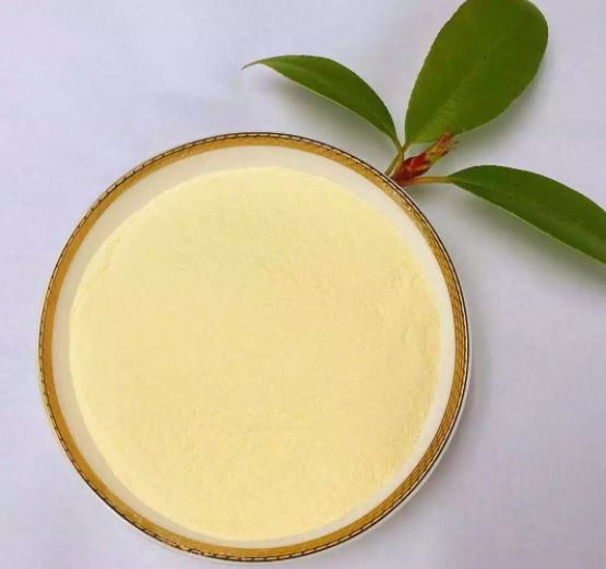 20220124142316a463219f4d8e4c7ea99d9cbf8d0c7774-1 20220124142316a463219f4d8e4c7ea99d9cbf8d0c7774-1